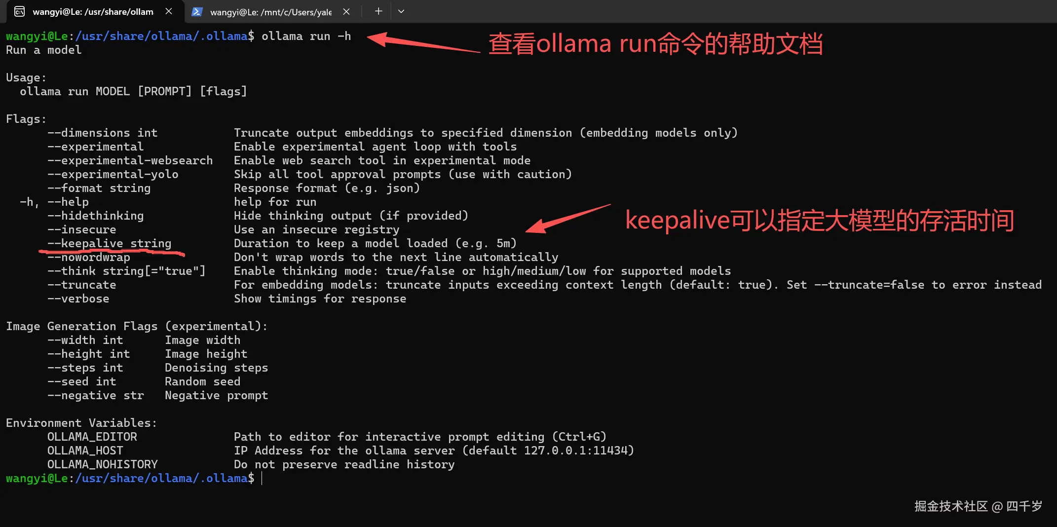 ollama run命令的帮助文档