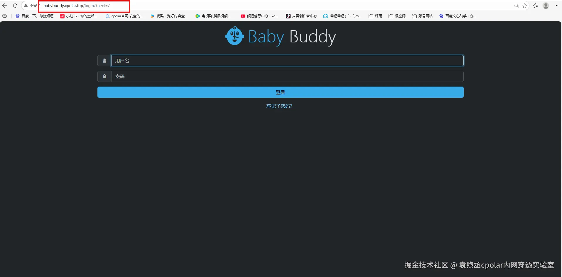 image-20260304114252715