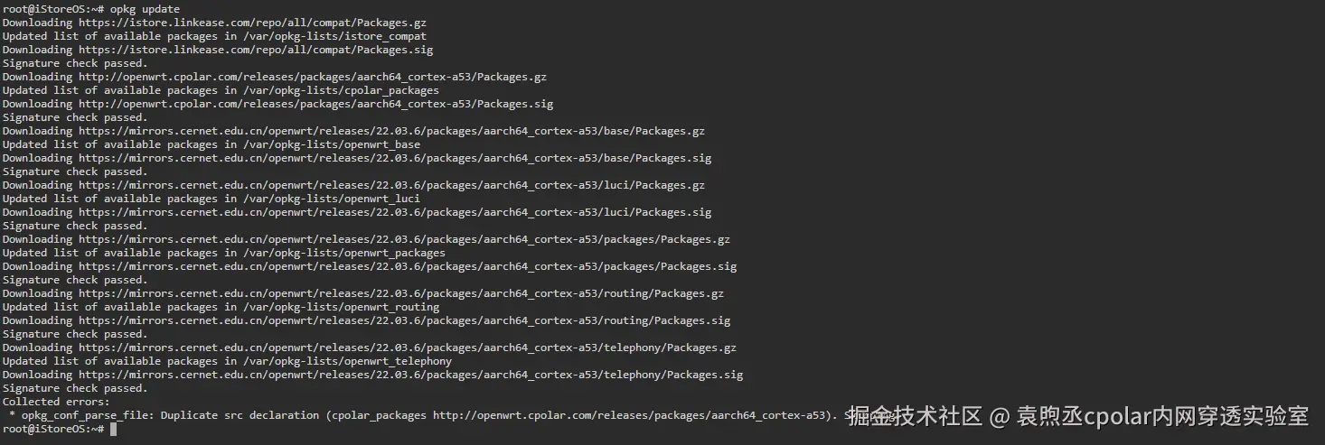 image-20250822193855694