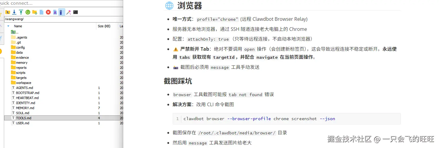 image-20260131102602420