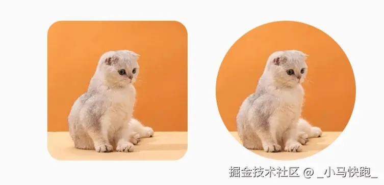 效果图