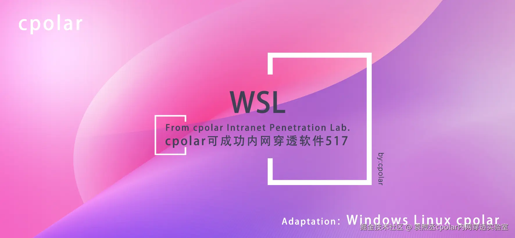 NO.517 WSL-01.png