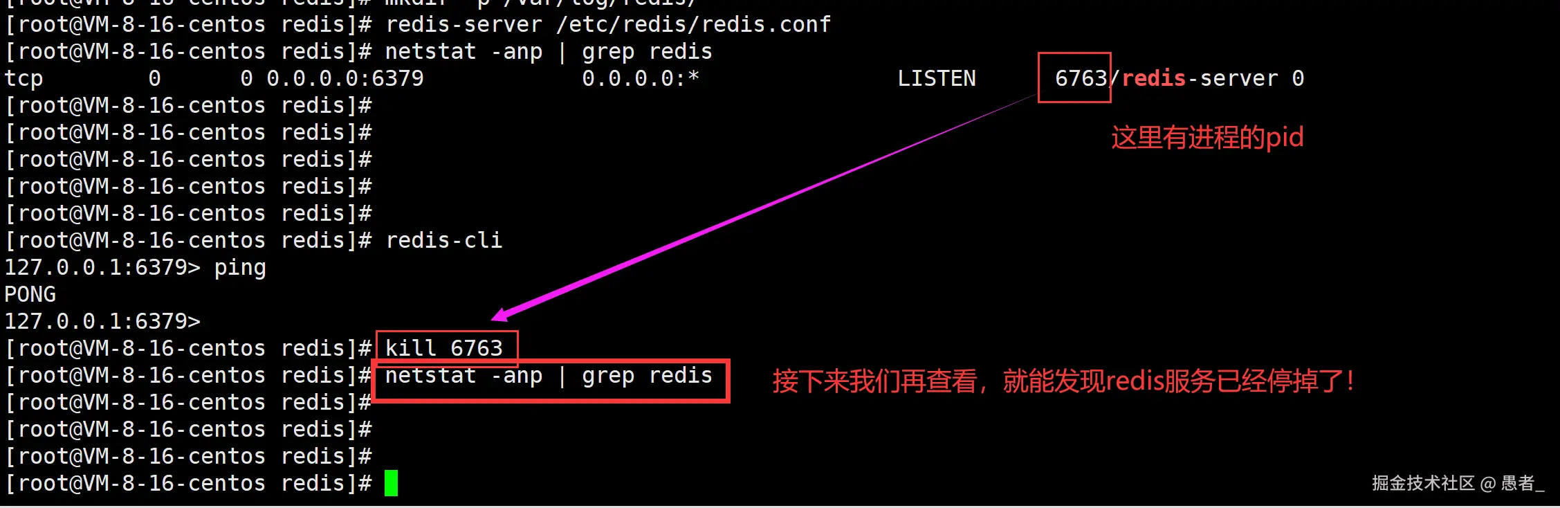 image-20240629163349528