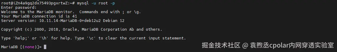 image-20260130105515707