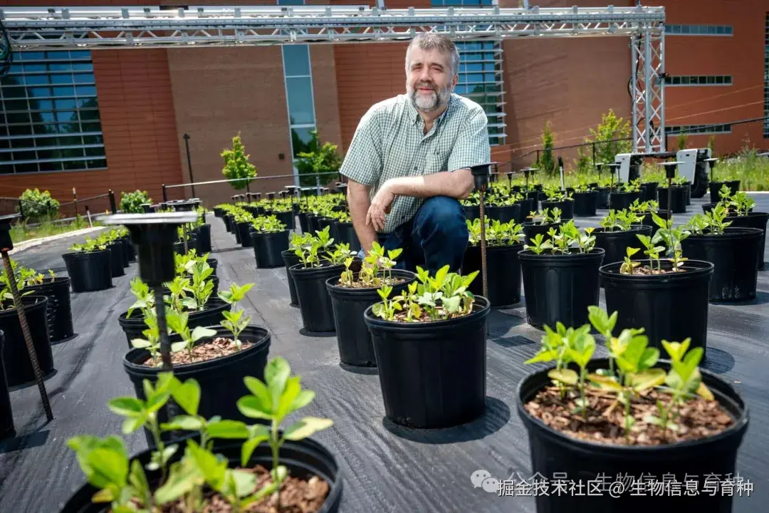 北卡罗来纳州立大学研究员 Chris Reberg-Horton 致力于处理大规模植物成像数据集，这些数据集旨在训练人工智能系统，使其能够识别不同环境下的物种、生长阶段及关键性状。图片来源：北卡罗来纳州立大学