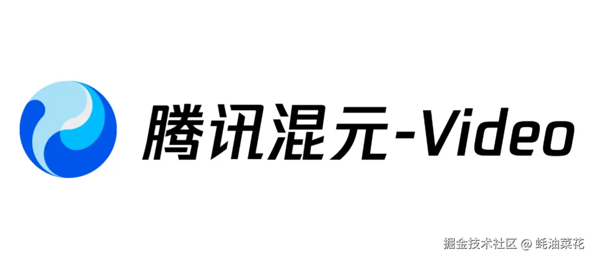公众号: 蚝油菜花 - HunyuanVideo/