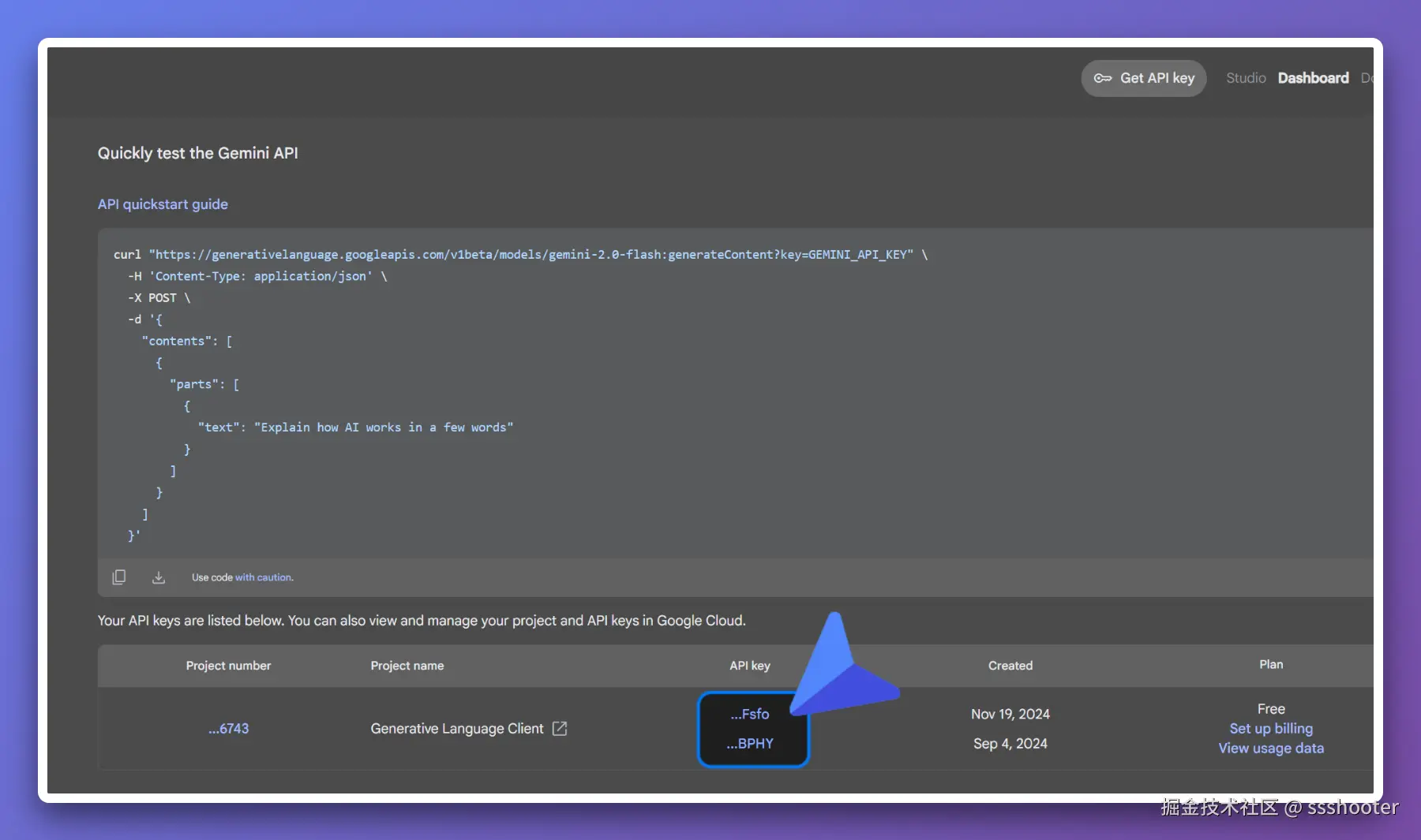 Google AI Studio 复制 key