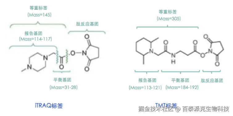 20221219-8969-iTRAQ与TMT的分子结构比较.png