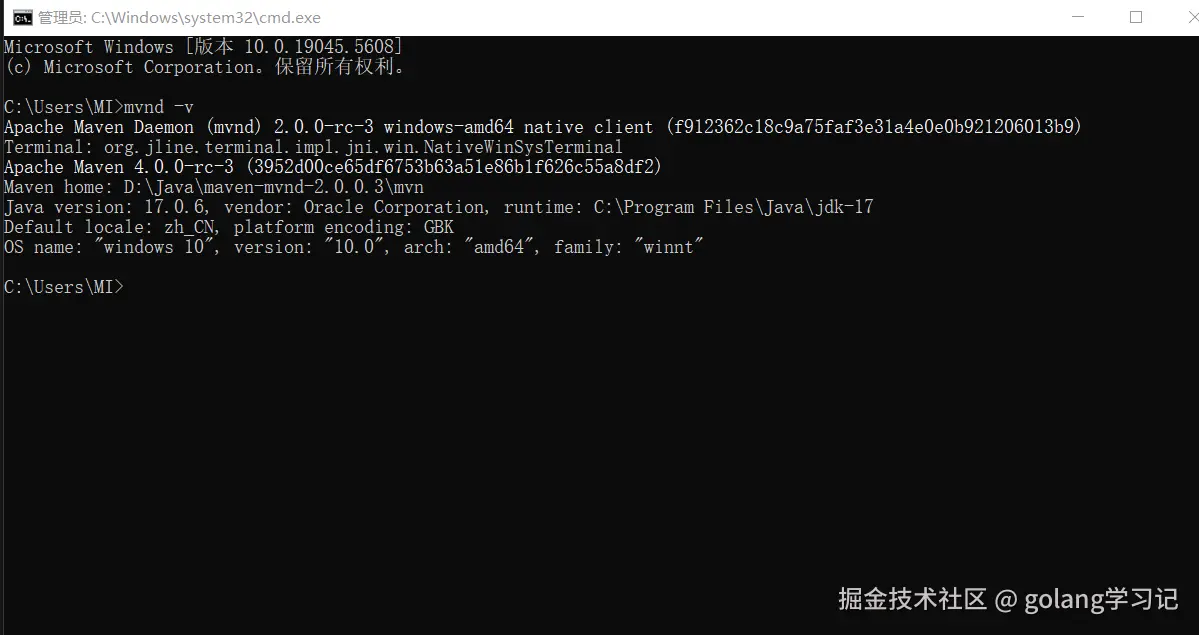 mvnd -v 输出效果