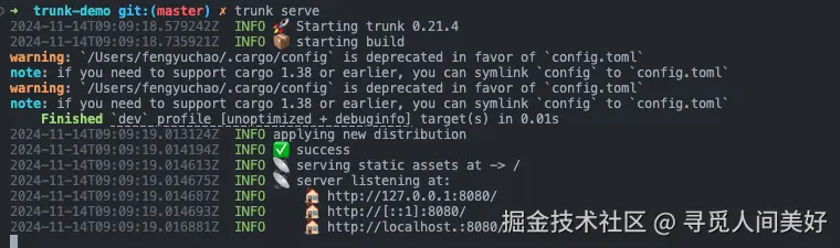 image-20241114172946737