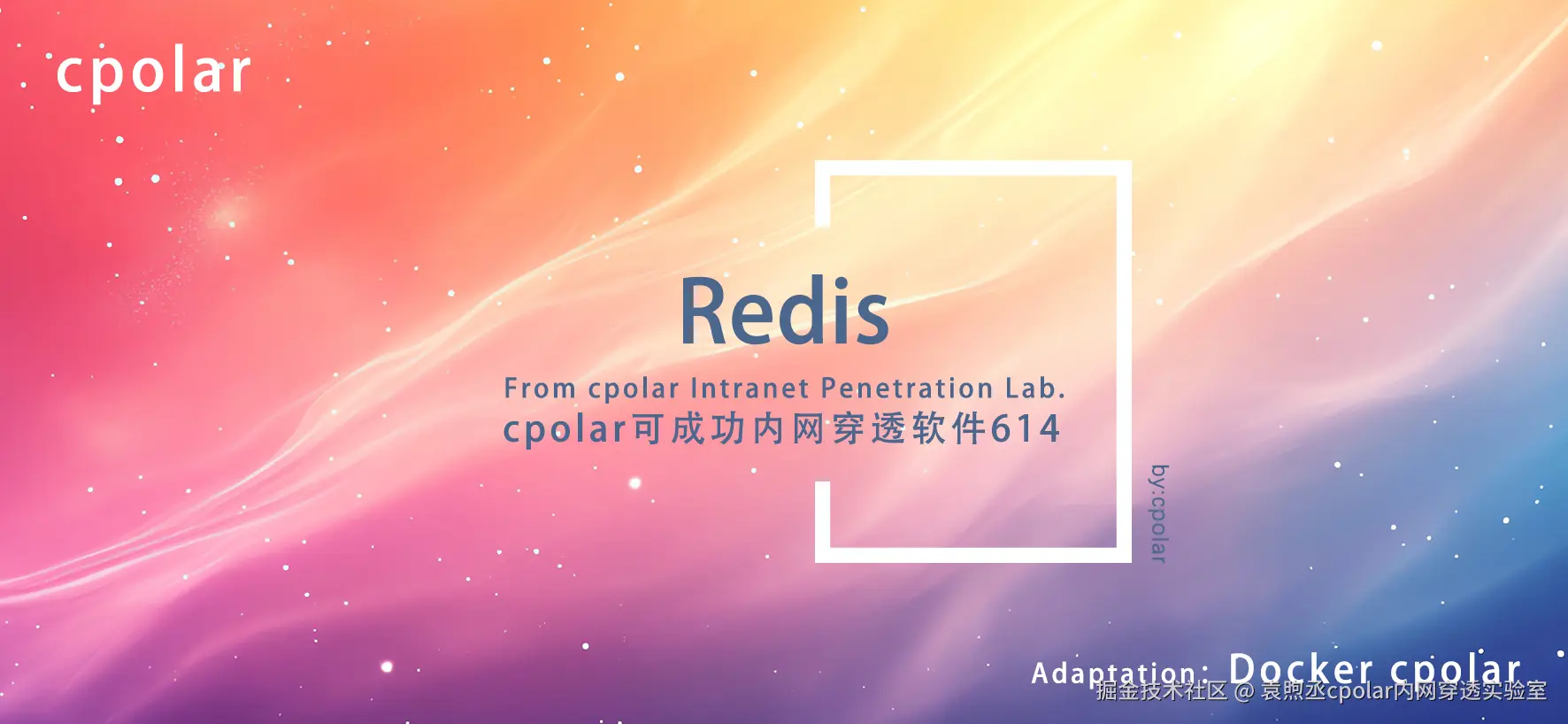 NO.614 Redis-01.png