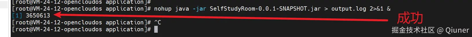 image-20240901222045215