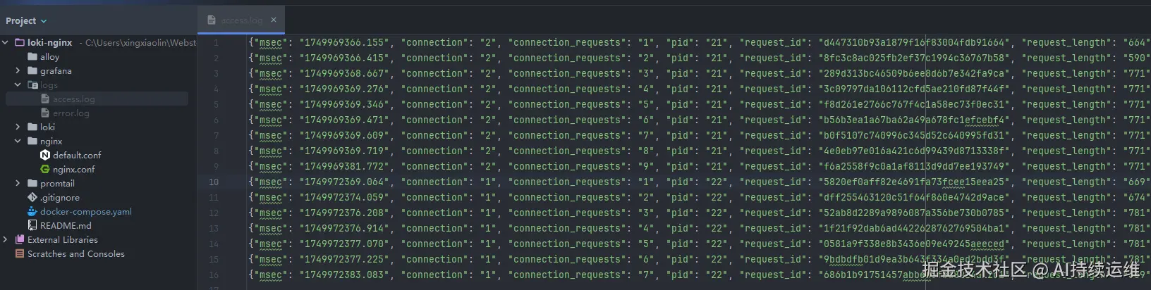 loki-nginx-access-log.png