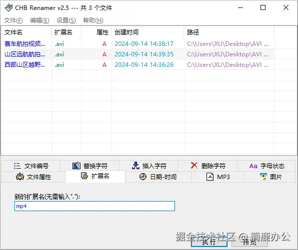 选择扩展名选项