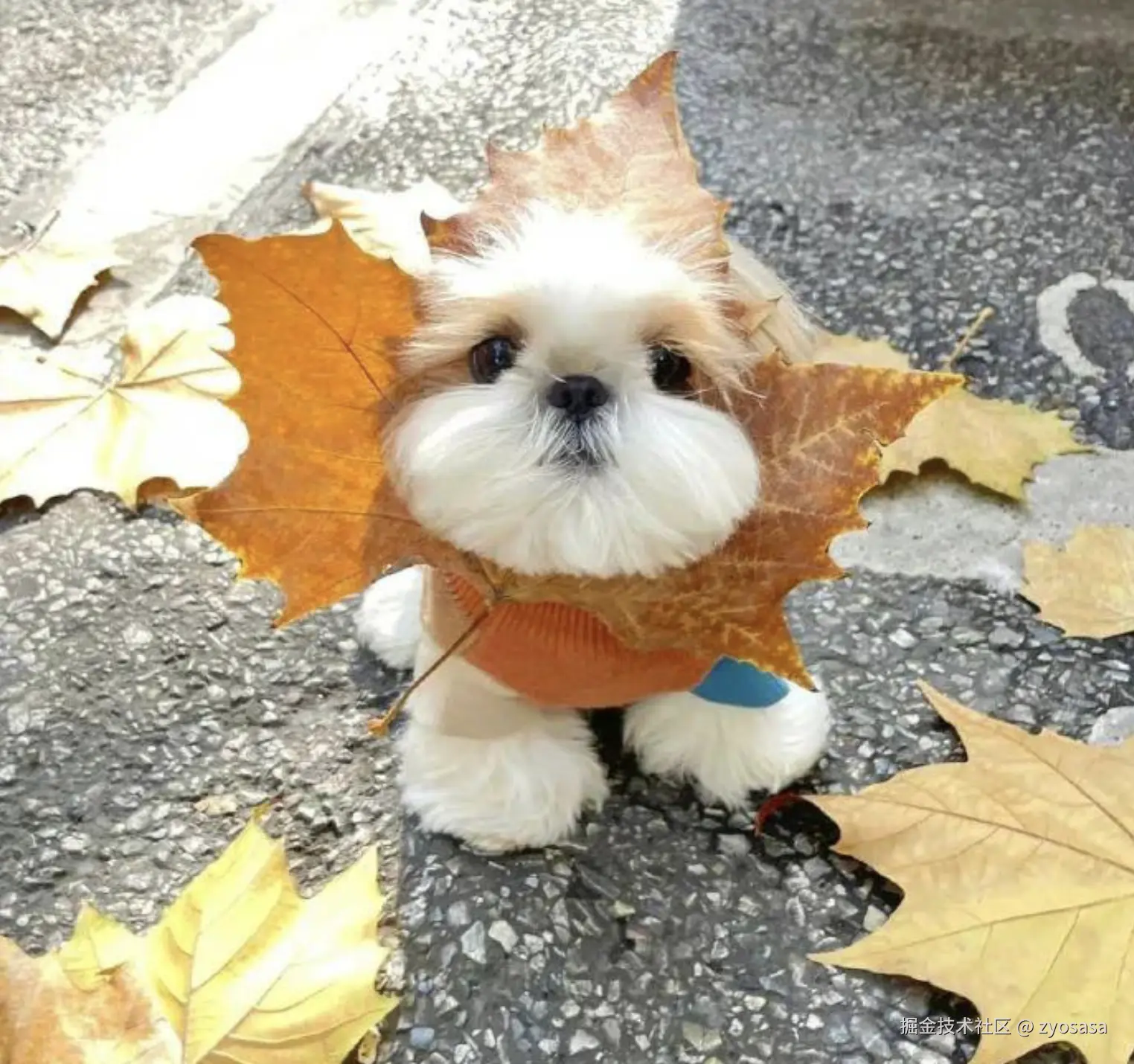 CleanShot 2024-10-26 at 09.38.33@2x.png