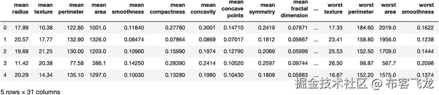 图 5.22：乳腺癌数据集的前五行
