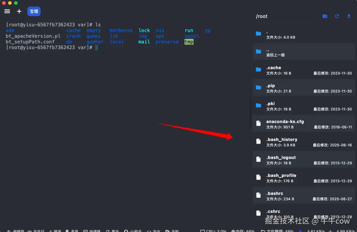 image-20250627014943194