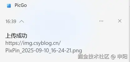 image-20251121164423795