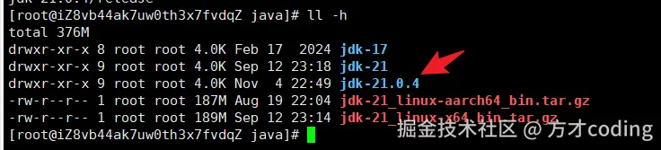 image-20241104225029980