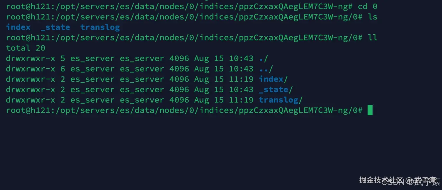 Elasticsearch 目录内容
