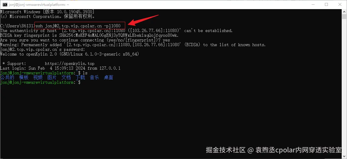 image-20240204151637642