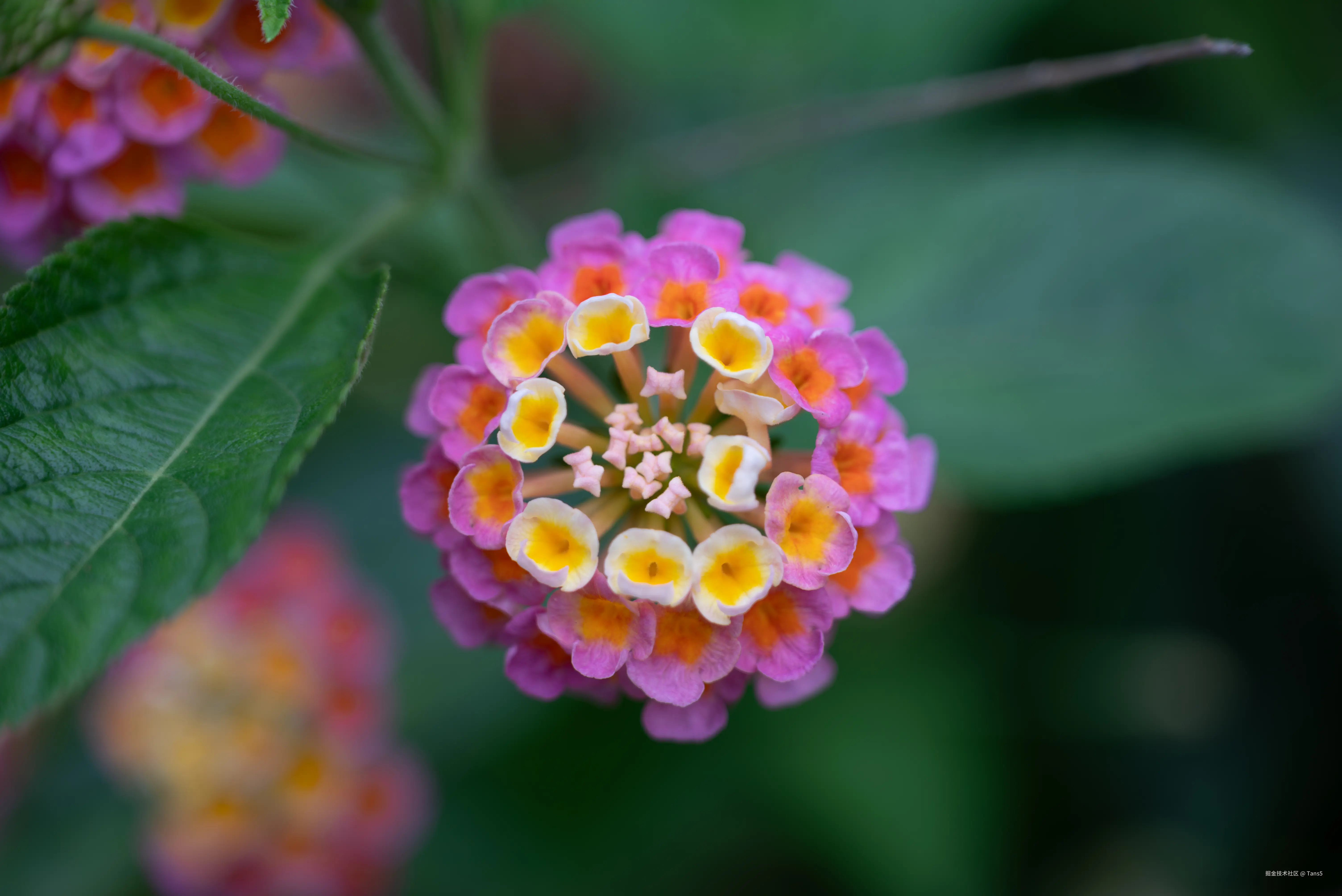 20240907-19.jpg