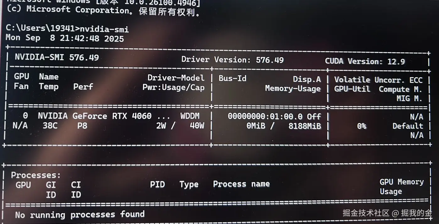 nvidia-smi 输出（Windows/WSL）
