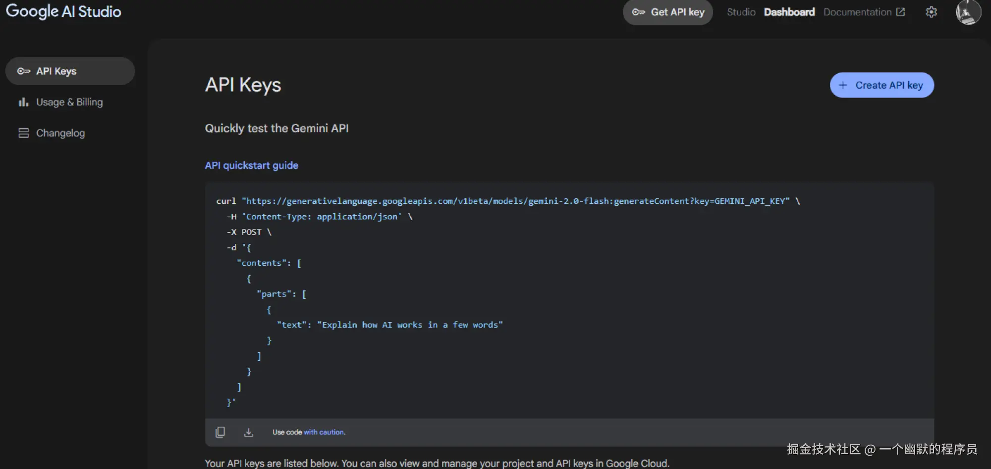 集成 Google AI Studio 获取代码与使用 API 密钥