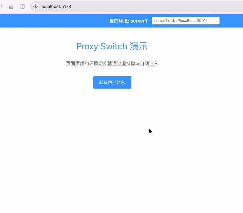 proxy_switch_vite_plugin.gif