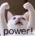 小猫力量.png