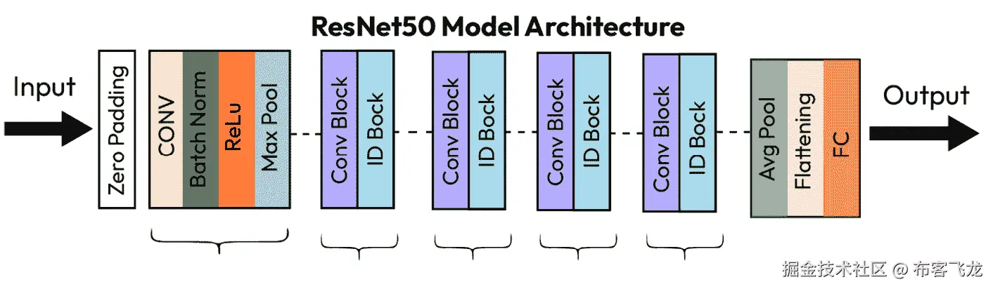 图 9.1 – ResNet50 模型架构