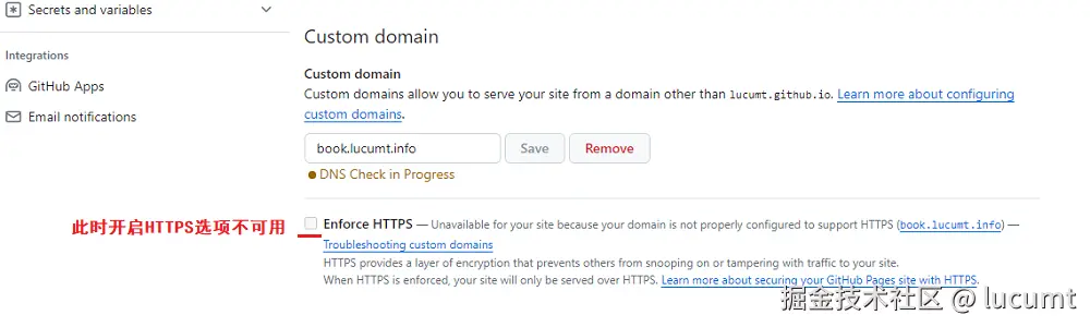 "GitHub Pages中DNS检查域名"