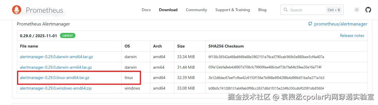image-20251111162957977