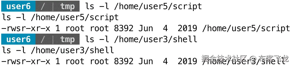 图 11.33 – 从我们的搜索中检查到的特定 SUID 文件