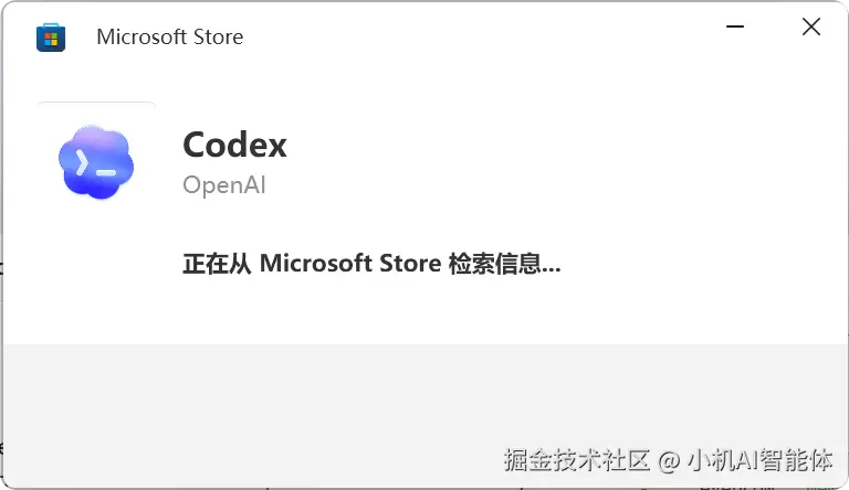Codex Installer.exe_20260608_192007.png