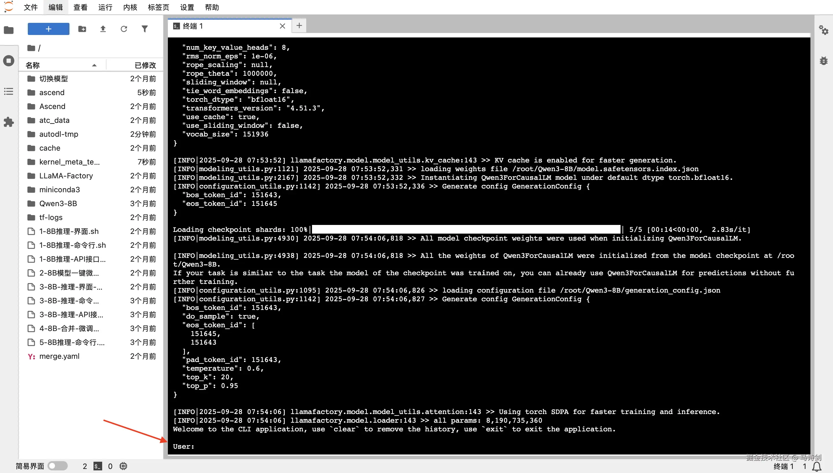 launch_cli_chat_application.png