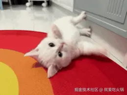 IMG_6664.GIF