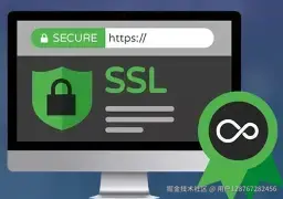 OIP-C (1).webp