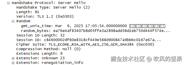 tls-serverhello.png