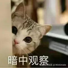暗中观察