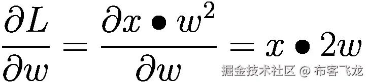 \frac{\partial L}{\partial w}=\frac{\partial x\bullet {w}²}{\partial w}=x\bullet 2w