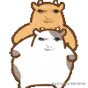 20221011001613_e5a34.gif
