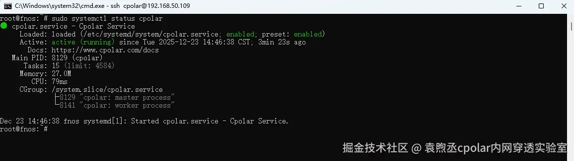 image-20251223145010973