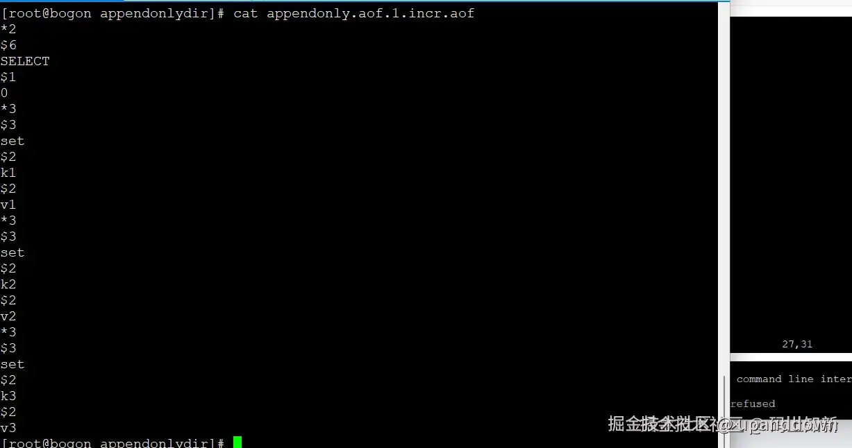 image-20240427223019873