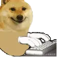 image_159.gif