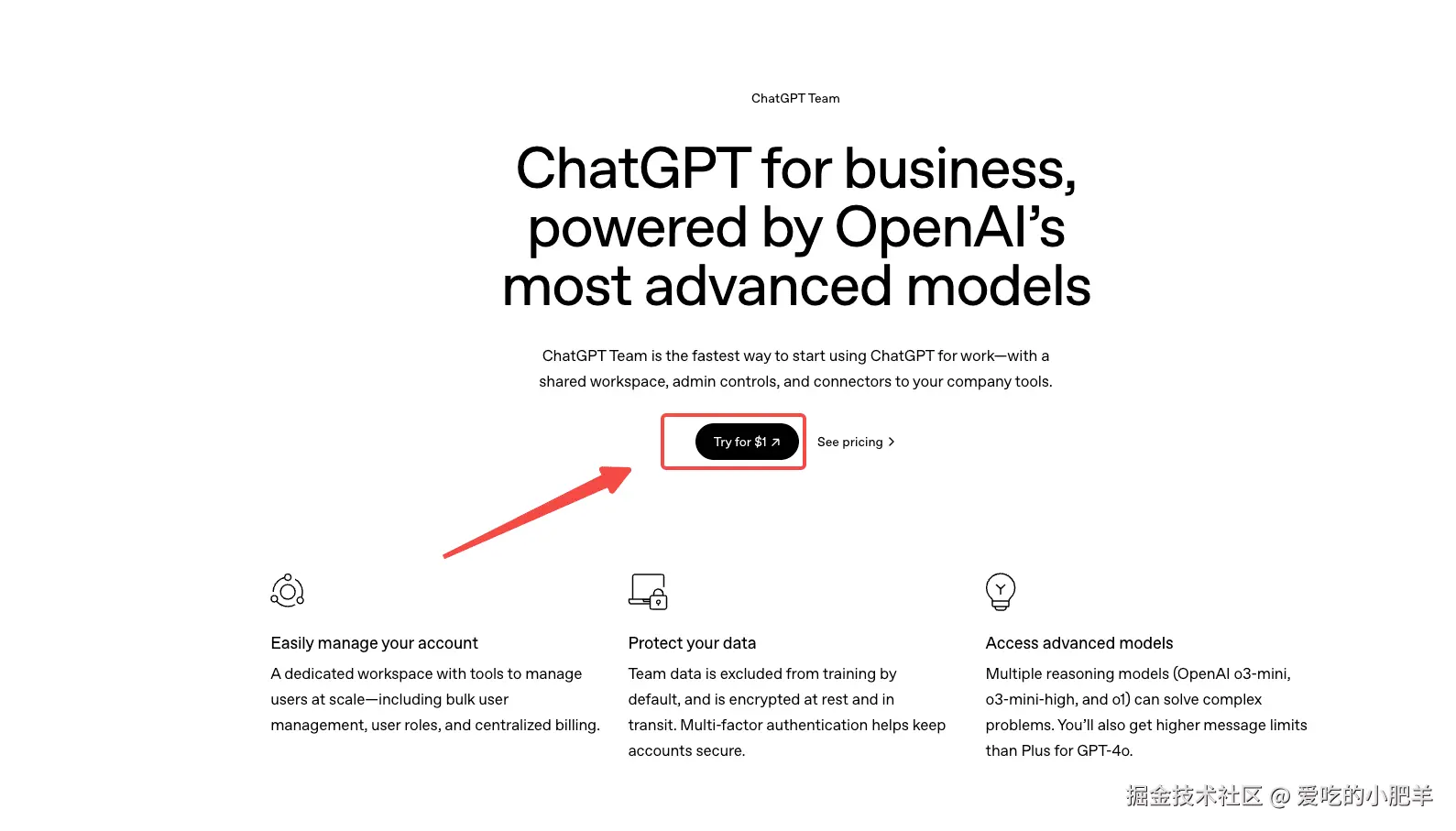 ChatGPT Team会员订阅页面
