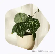 5.gif