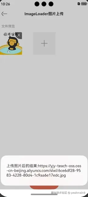 图片上传结果