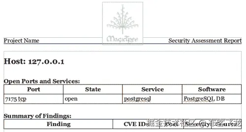 报告生成