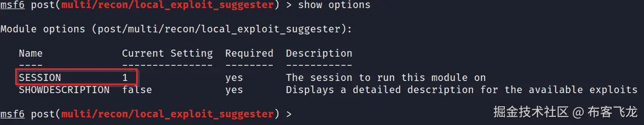 图 5.3 – local_exploit_suggester 选项